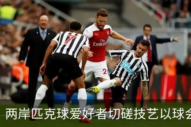 两岸匹克球爱好者切磋技艺以球会友